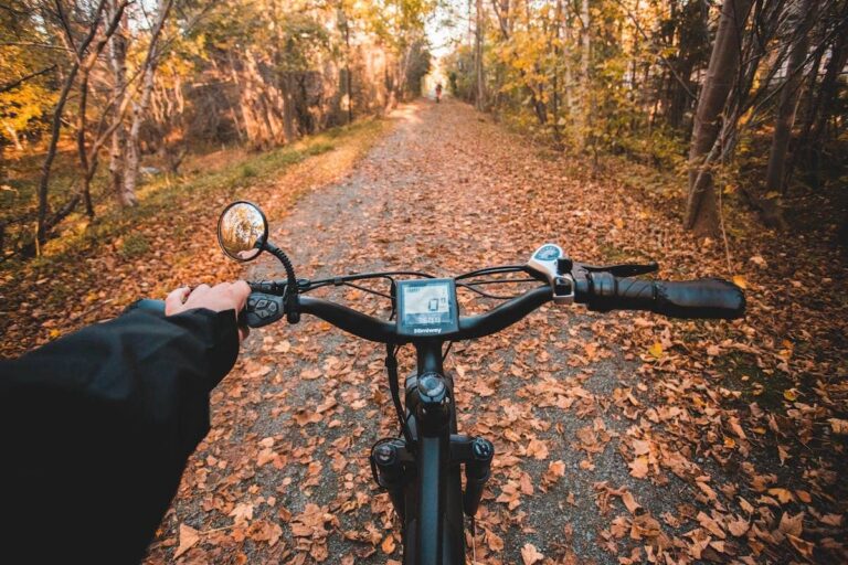 Choisir sa première moto : les astuces indispensables à connaître